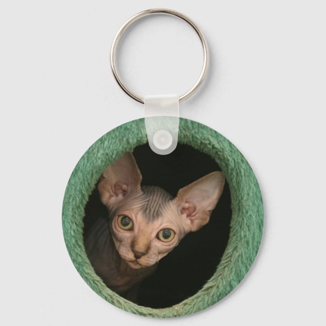 Cute sphynx kitten key ring (Front)