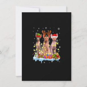 Cute Sphynx Santa Hat Christmas Light Xmas Invitation