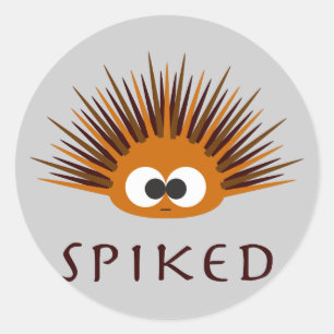 Cute Spiked Orange Sea Urchin Classic Round Sticker