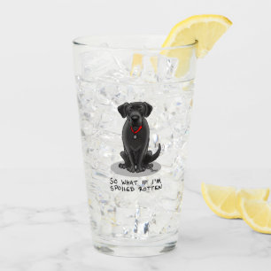 Cute Spoiled Rotten Black Labrador Retriever Dog Glass