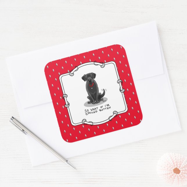 Cute Spoiled Rotten Black Labrador Retriever Dog Square Sticker (Envelope)