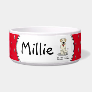 Cute Spoiled Rotten Yellow Labrador Retriever Dog