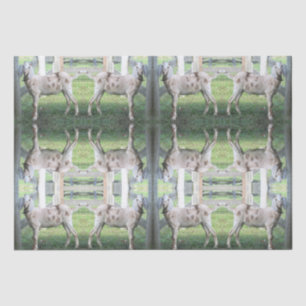 Cute Spotted Floppy Eared Goat Tissue Paper