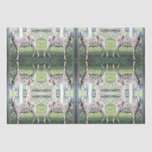 Cute Spotted Floppy Eared Goat Tissue Paper (Front)