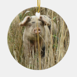 Cute Spotty Pig Custom Birthday Ceramic Tree Decoration