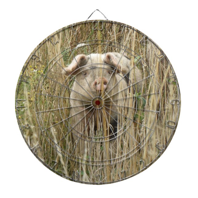 Cute Spotty Pig Dart Board (Front)