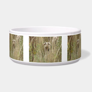 Cute Spotty Pig Dog Bowl