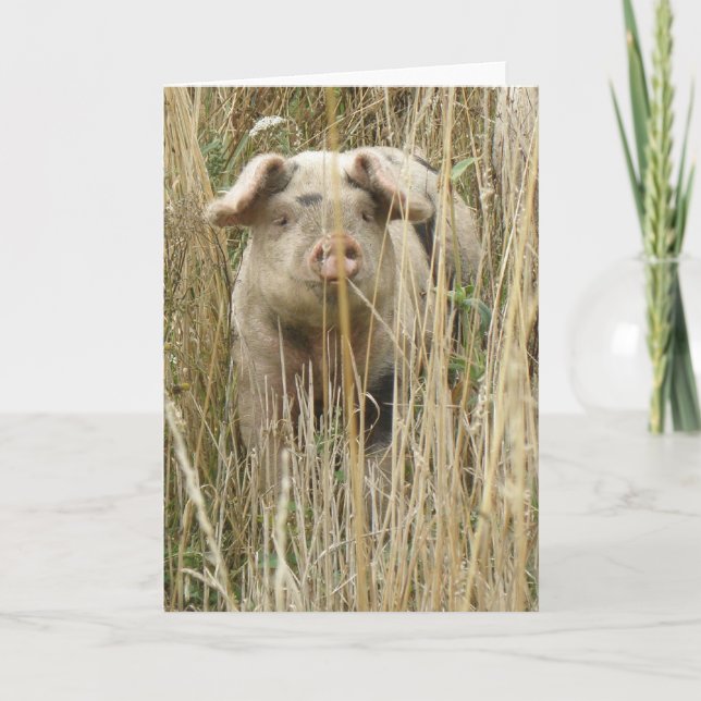 Cute Spotty Pig Greeting Card (Front)