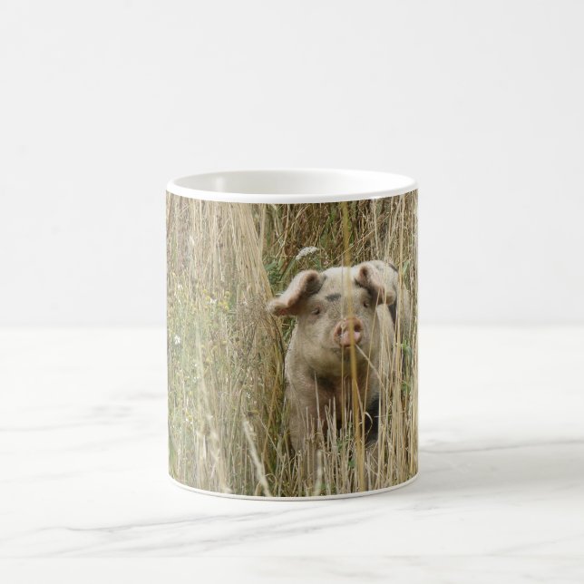 Cute Spotty Pig Mug (Center)
