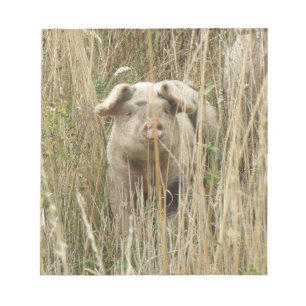 Cute Spotty Pig Notepad