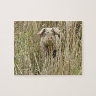 Cute Spotty Pig Puzzle