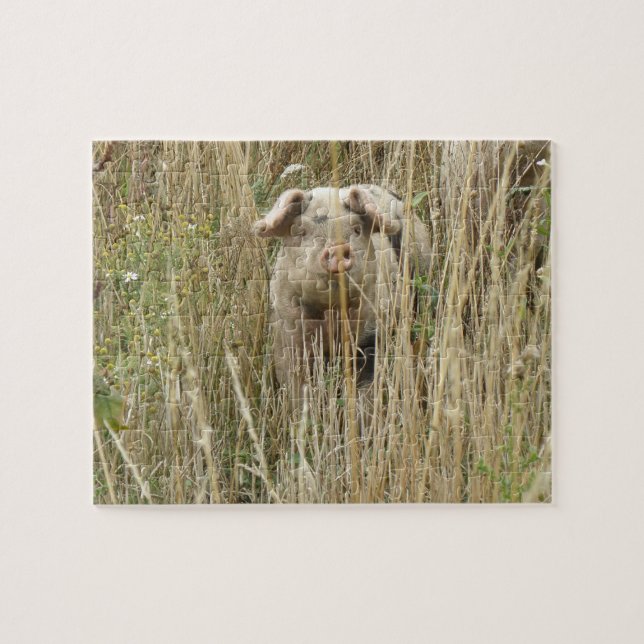 Cute Spotty Pig Puzzle (Horizontal)