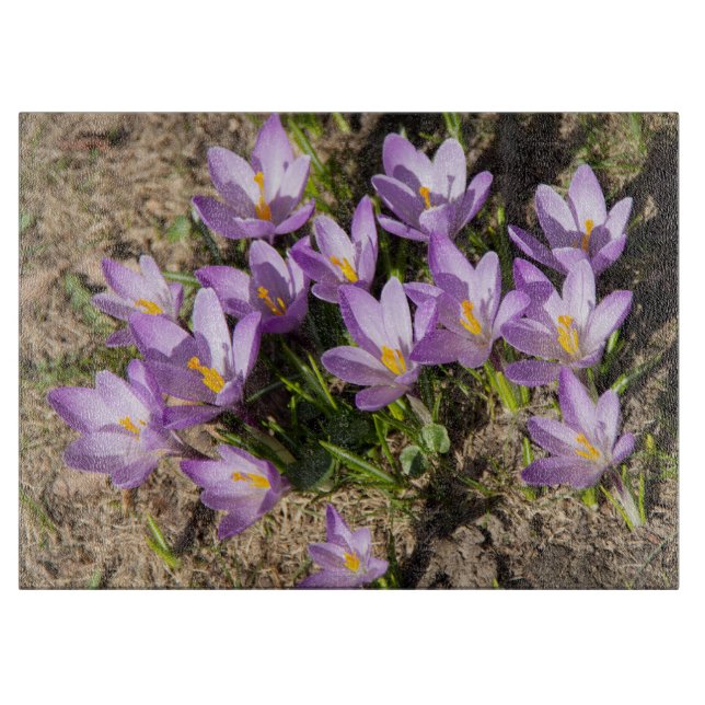 Cute spring crocuses cutting board (Front)