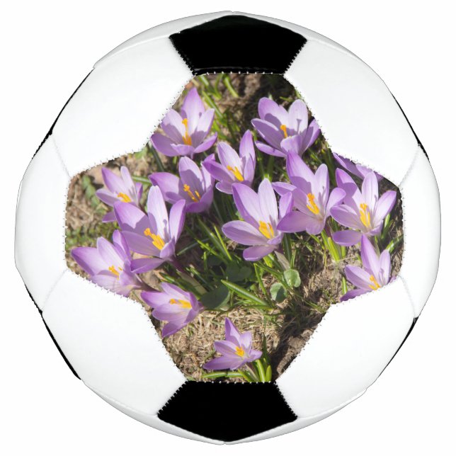Cute spring crocuses football (Front)