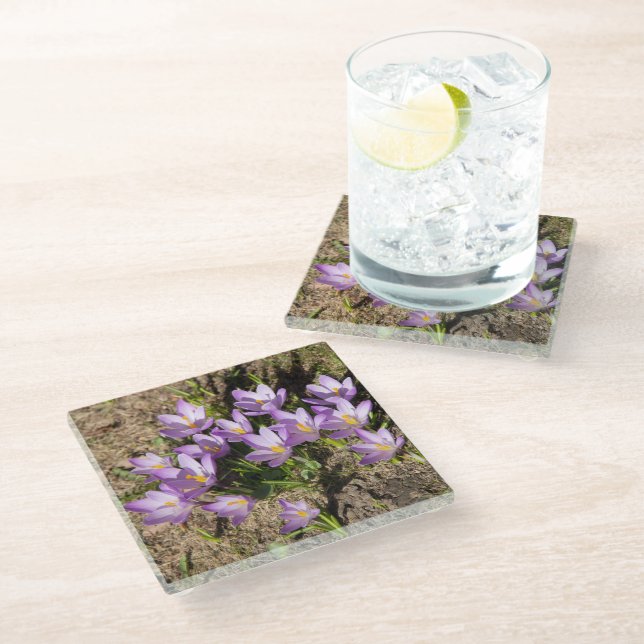 Cute spring crocuses glass coaster (Angled)
