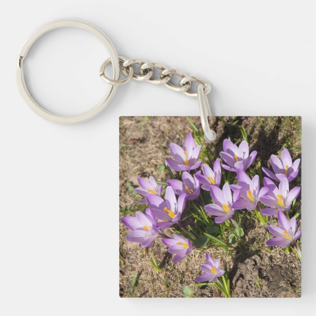 Cute spring crocuses key ring (Front)