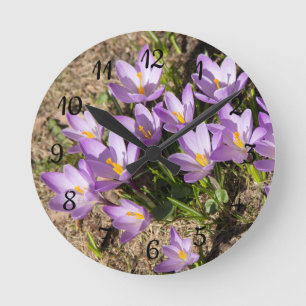 Cute spring crocuses round clock