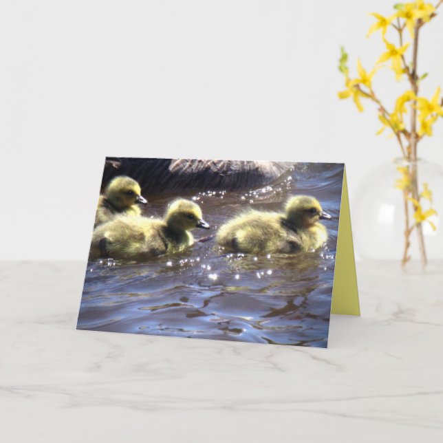 Cute Spring Goslings Baby Geese Swimming Card (Yellow Flower)