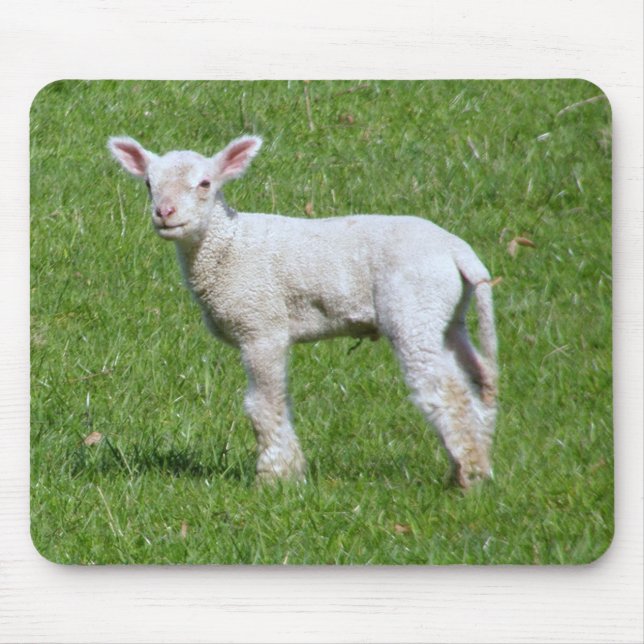 Cute Spring Lamb Mouse Mat (Front)