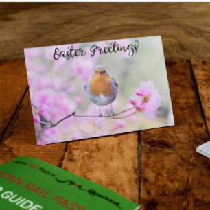 Cute Spring Robin Bird Easter Greetings Blossoms Postcard