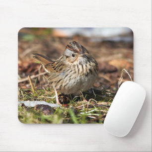 Cute Spunky Lincoln's Sparrow Songbird Mouse Mat