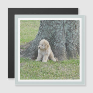 Cute Square Modern Template Green Keepsake Magnet