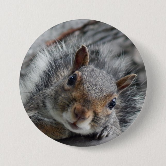 Cute Squirrel 7.5 Cm Round Badge (Front)