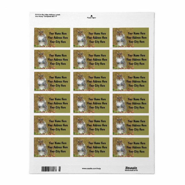 Cute Squirrel Address Label (Full Sheet)