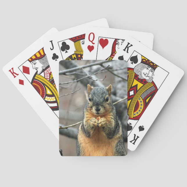 Cute squirrel and his nut playing cards (Back)