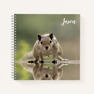 Cute Squirrel Animal Notebook