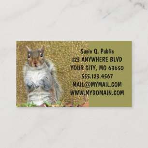 Cute Squirrel Business Card