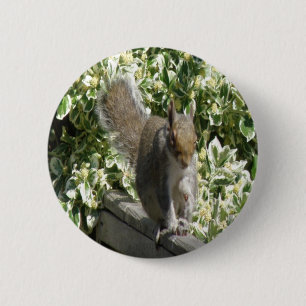 Cute Squirrel Button