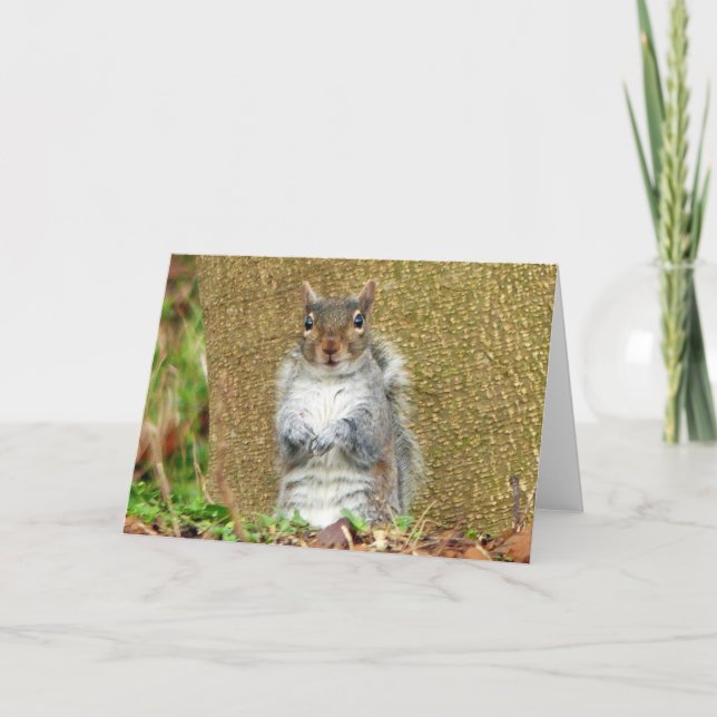 Cute Squirrel Card (Front)