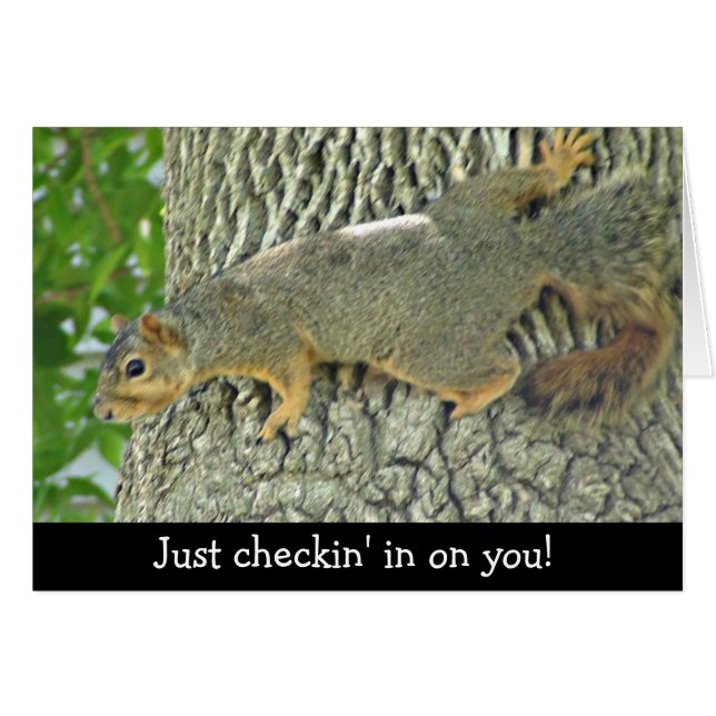 Cute Squirrel Checking in on You Card (Front Horizontal)