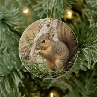 Cute Squirrel Christmas Tree Ornament