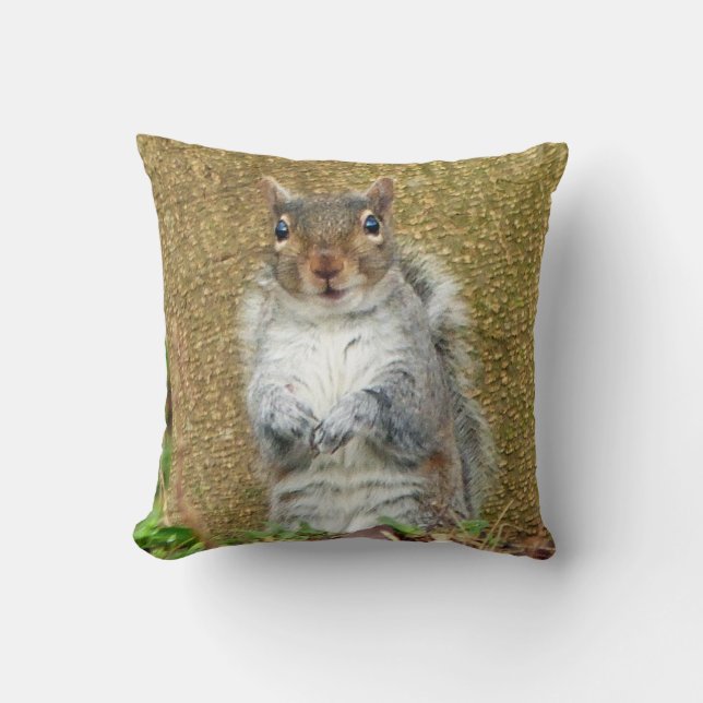 Cute Squirrel Cushion (Front)