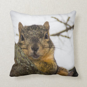 Cute Squirrel Cushion