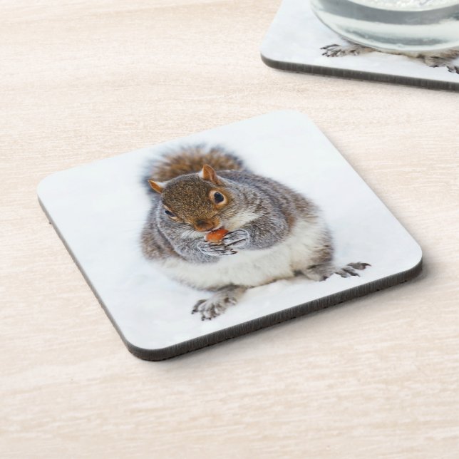 Cute Squirrel Eating a Nut Coaster (Left Side)