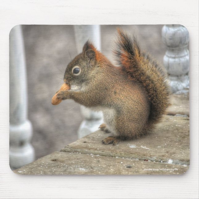 Cute Squirrel Eating a Peanut Wildlife Photo Mouse Mat (Front)
