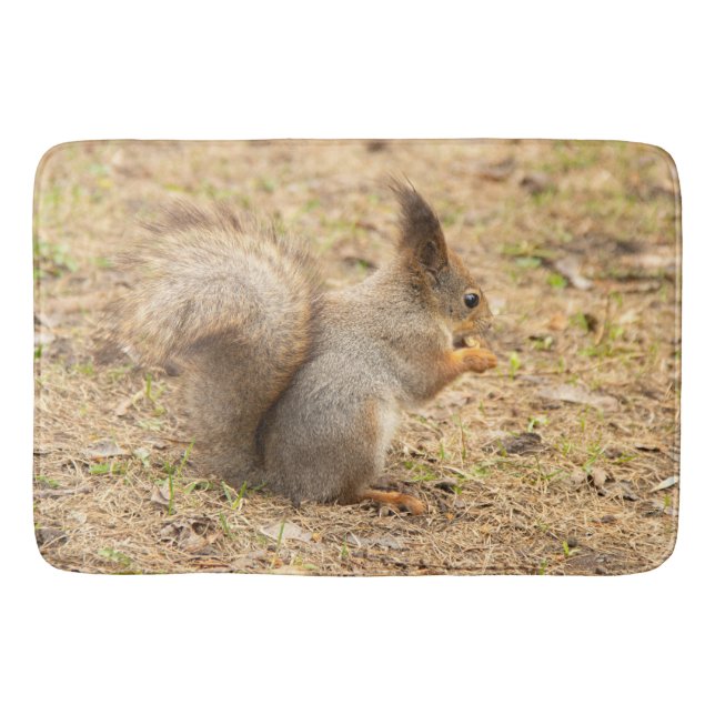 Cute squirrel eats a nut photo bath mat (Front)