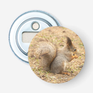 Cute squirrel eats a nut photo bottle opener