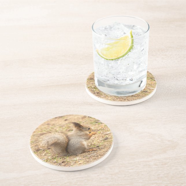 Cute squirrel eats a nut photo coaster (Side)