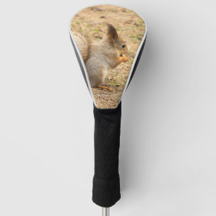 Cute squirrel eats a nut photo golf head cover