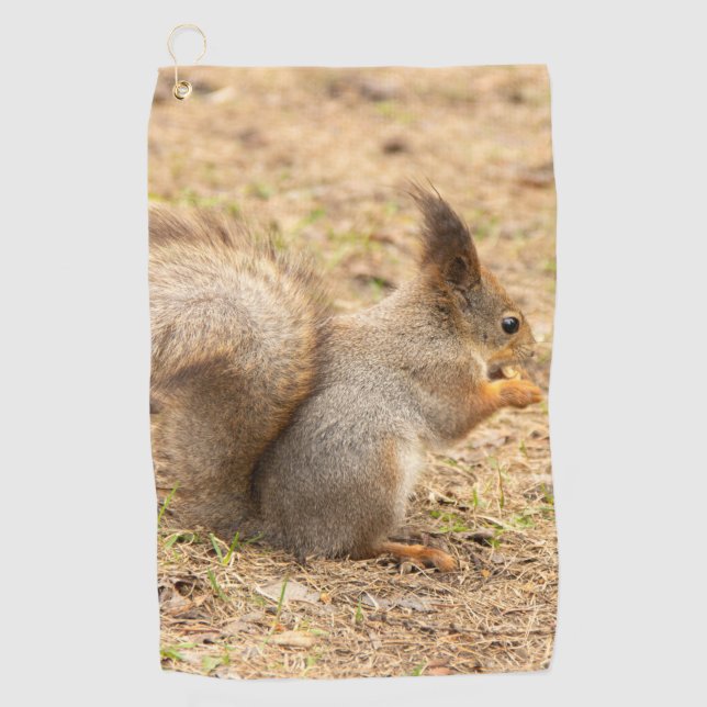 Cute squirrel eats a nut photo golf towel (Front)