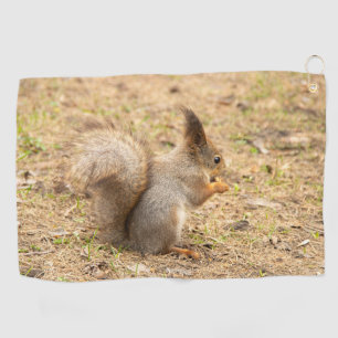 Cute squirrel eats a nut photo golf towel