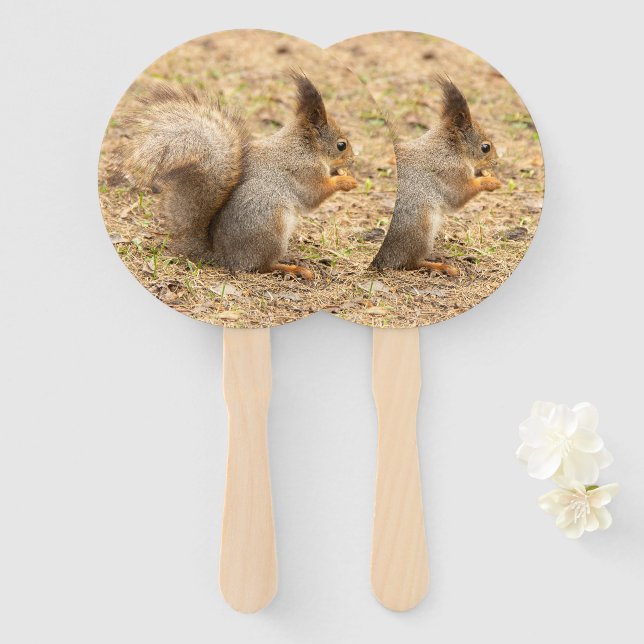 Cute squirrel eats a nut photo hand fan (Front and Back)