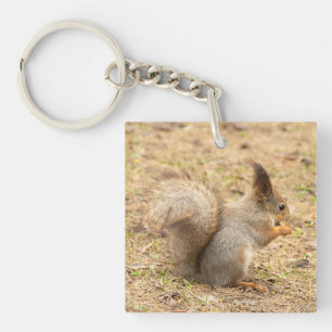Cute squirrel eats a nut photo key ring