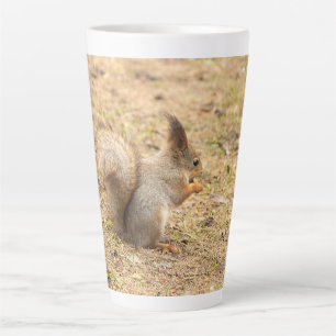 Cute squirrel eats a nut photo latte mug