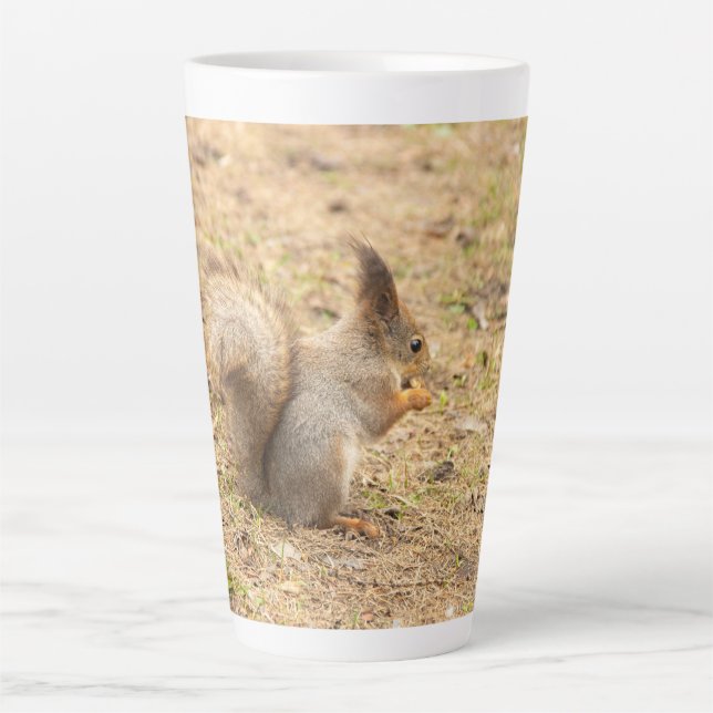 Cute squirrel eats a nut photo latte mug (Front)