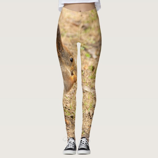 Cute squirrel eats a nut photo leggings (Front)